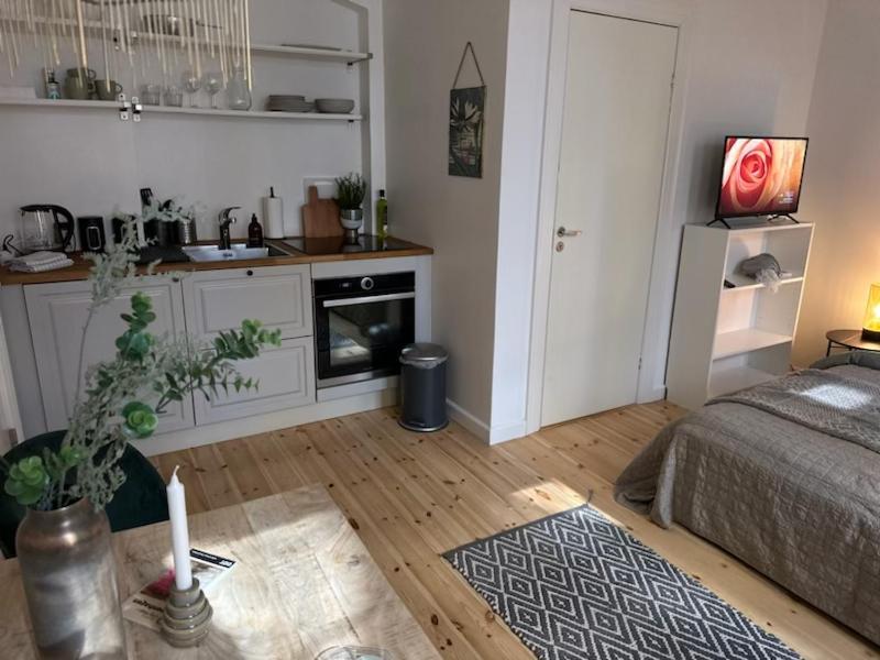 Fantastic Studio Apartment Копенхаген Екстериор снимка